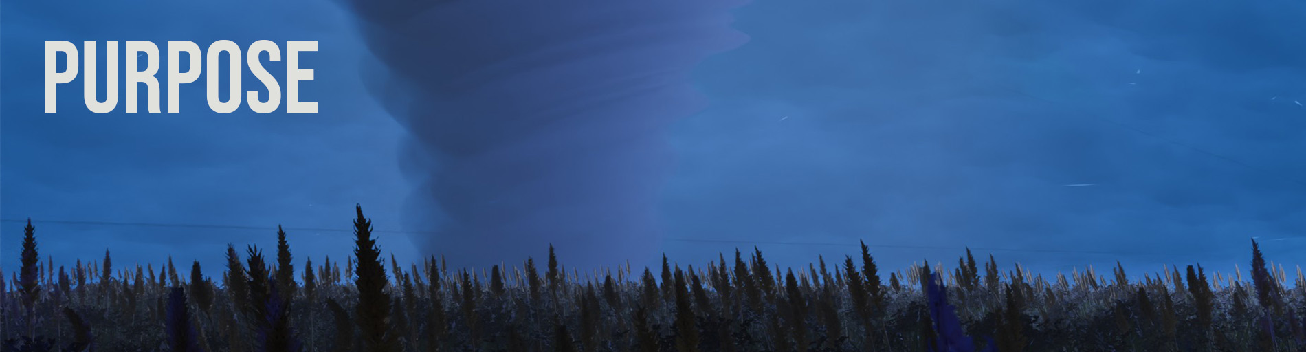 Banner 3